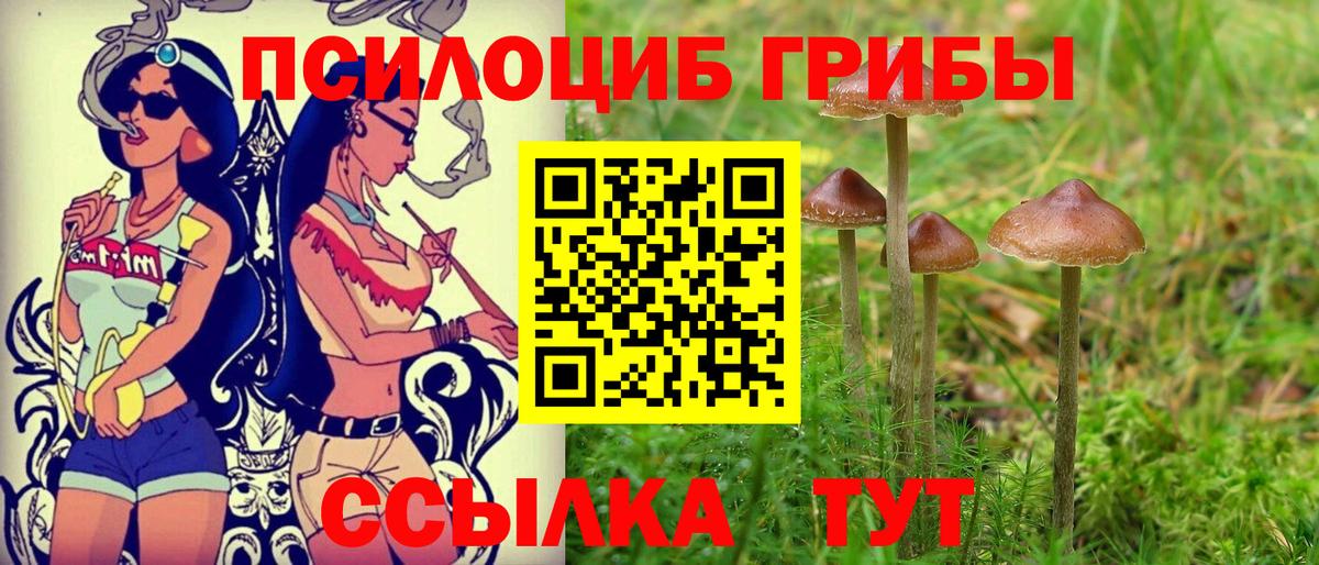 Менделеевск  Псилоцибиновые грибы мухоморы  Вход с VPN  Псилоцибиновые грибы ЛСД 